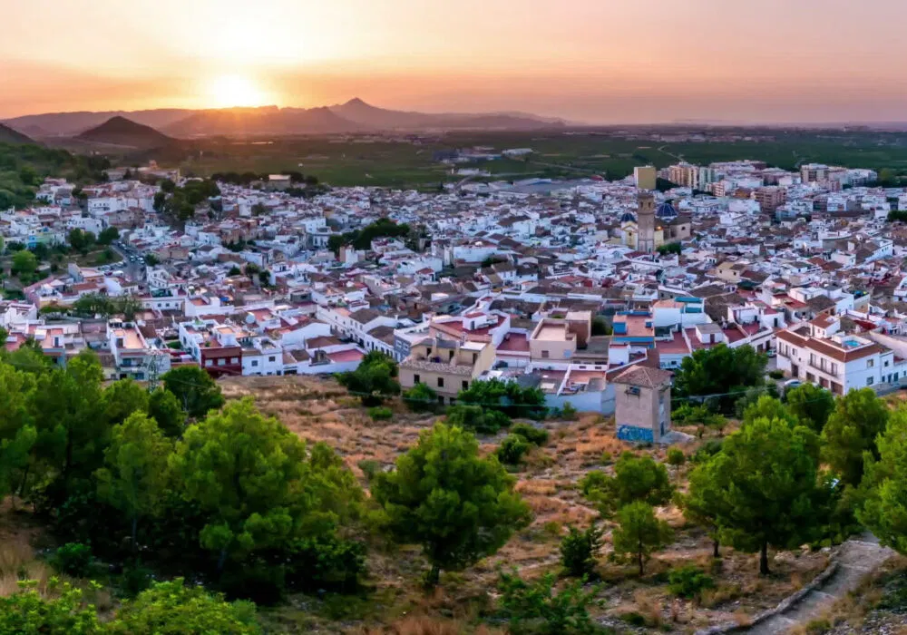 Asamblea General Ordinaria. 30/03/2026. Oliva (Valencia).