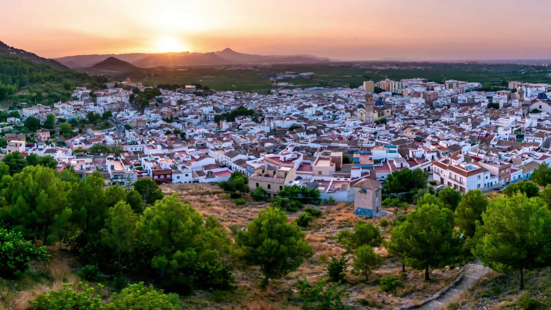 Asamblea General Ordinaria. 30/03/2026. Oliva (Valencia).